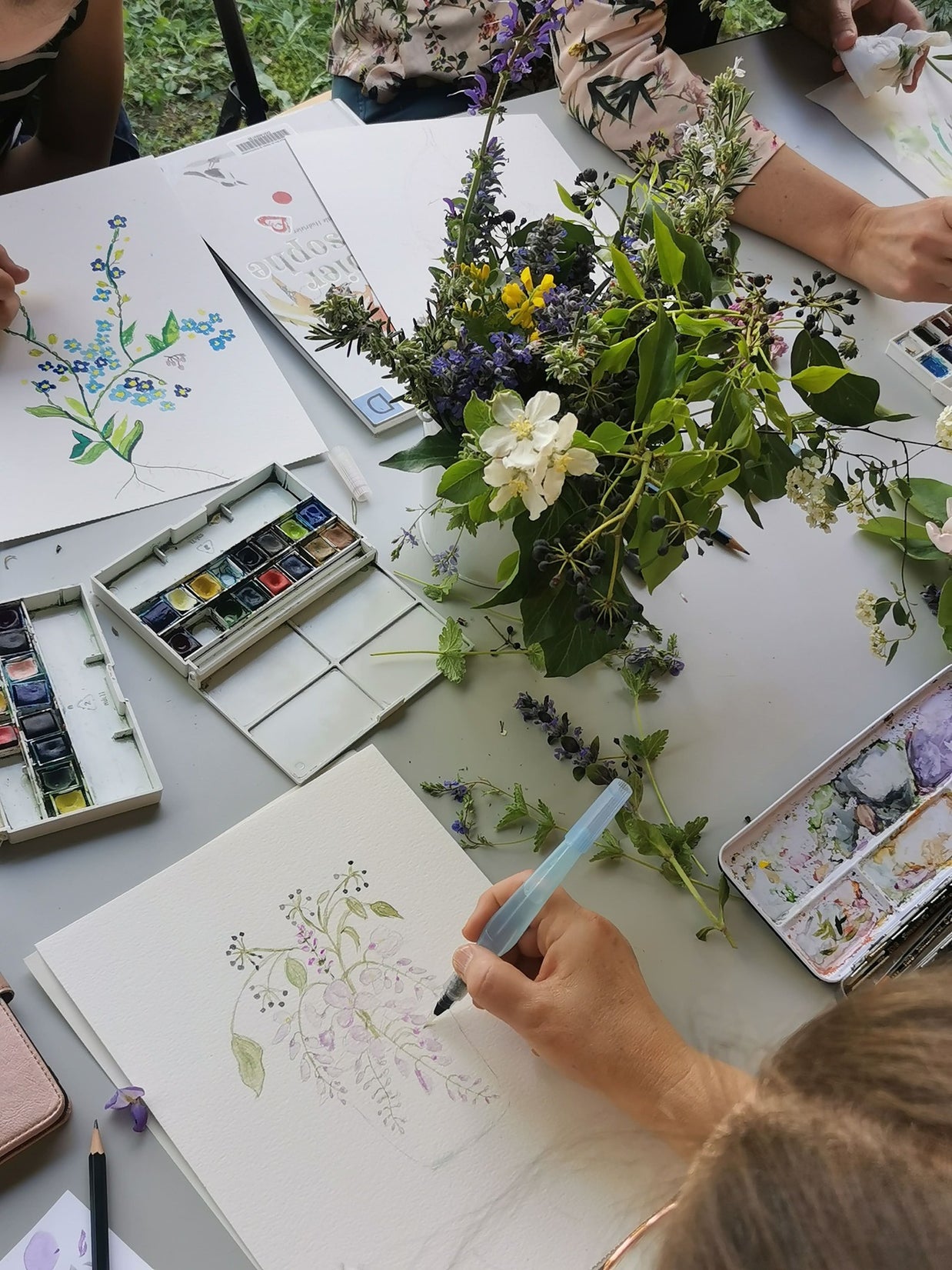 Illustrations botaniques de plantes et fleurs réalisées au crayon et à l’aquarelle sur papier