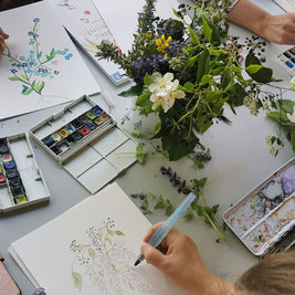 Illustrations botaniques de plantes et fleurs réalisées au crayon et à l’aquarelle sur papier