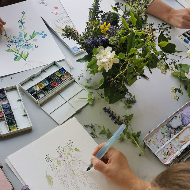 Illustrations botaniques de plantes et fleurs réalisées au crayon et à l’aquarelle sur papier