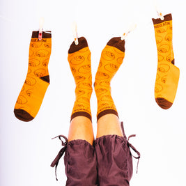 Chaussettes sur ligne de maison