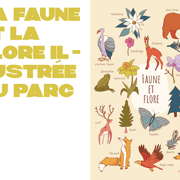 Sommet rocheux sous ciel bleu
