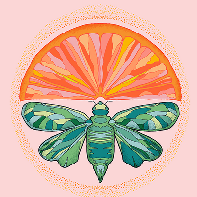 Illustration fruit et insecte