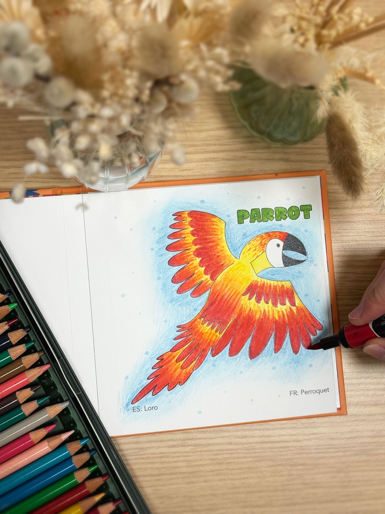 Livre de coloriage éducatif pour enfants pages intérieures

