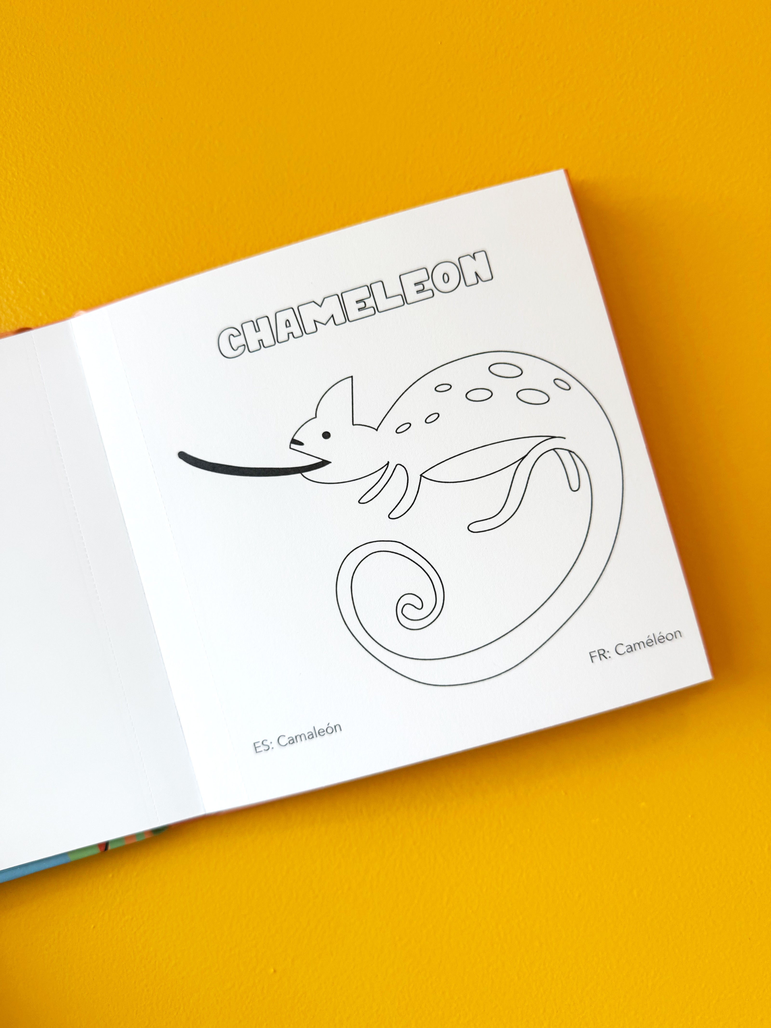 Enfant en train de colorier
