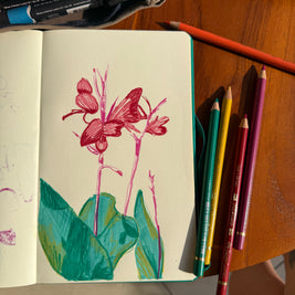 Carnet ouvert avec illustrations de feuilles et fleurs réalisées pendant un atelier artistique